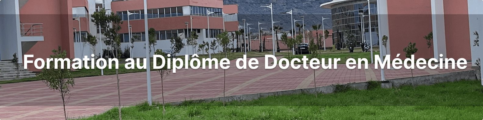 Formation au Diplôme de Docteur en Médecine